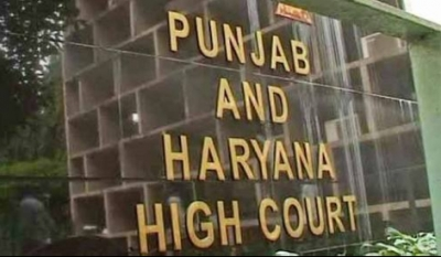 High Court Stays Felling of Trees for Flyover in Chandigarh