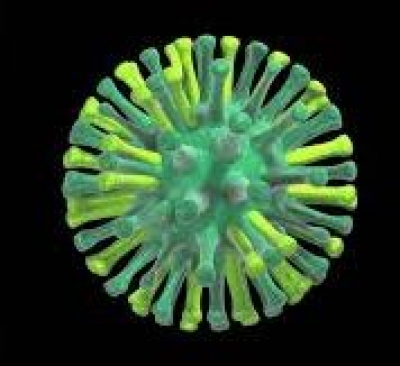 Wild Poliovirus Detected in Environmental Sample from Peshwar