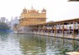 Golden Temple Illuminated to Mark Bandi Chhor Diwas, Diwali