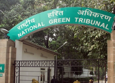 NGT Issues Notice over Alleged Environment Violation by Resort near Sariska Tiger Reserve