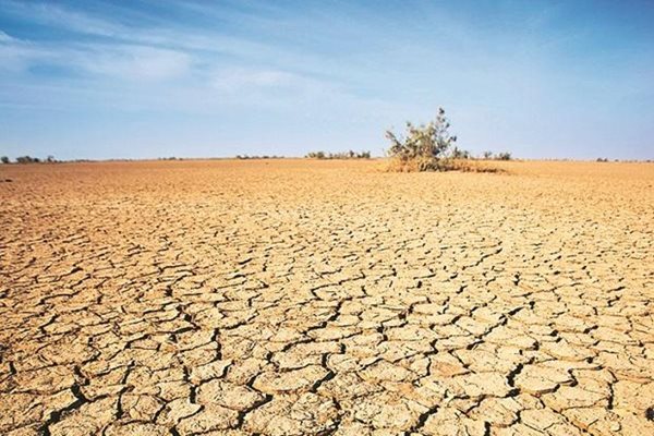 7 in 10 Indians Worried about Impact of Climate Change on Their Future