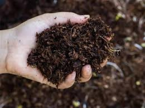 Odisha Steps up Crackdown on Fertiliser Black Marketing, Raids 11,684 Shops 