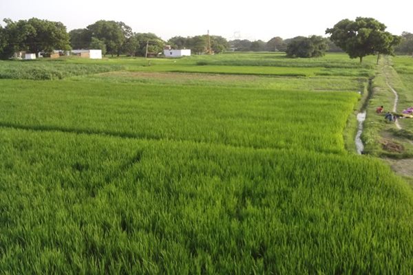 India to See 'normal' Monsoon This Year, Forecasts IMD 