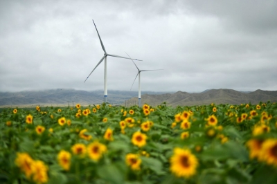 Italy's Enel Unveils 43-billion-euro Plan to Increase Renewable Energy Production