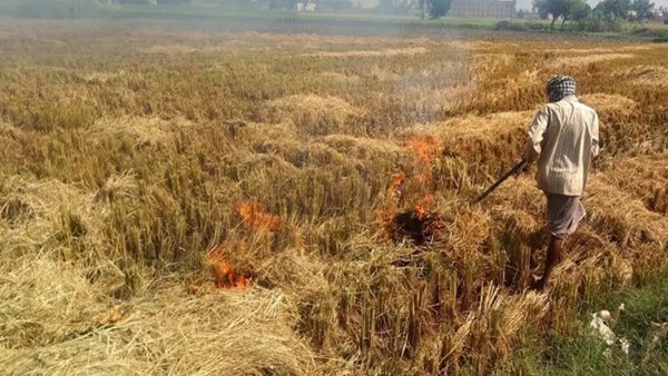 53% Delhi-NCR residents blame stubble burning for poor air