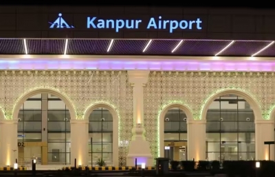 Peacock Menace at Kannur Airport, Kerala Govt Mulling Solution