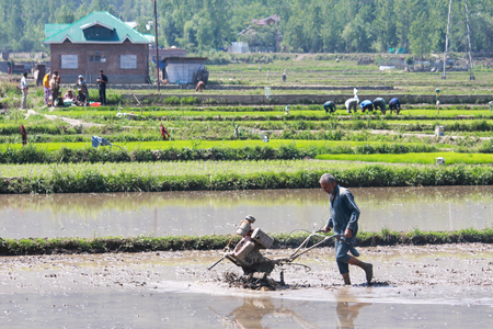 Over 6.1 CR Indian Farmers Have Aadhaar-like Digital IDs Linked to Land Records 