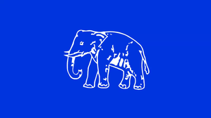 BSP Names Nine More Candidates in UP