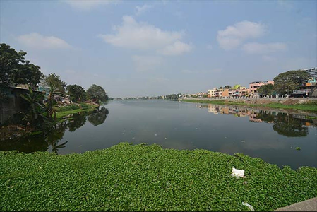Sewage Discharge into Storm Water Drain Pollutes Velachery Lake; Residents Allege Official Apathy