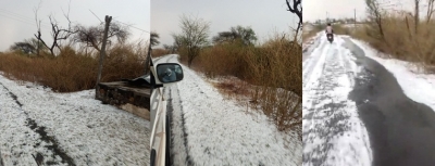 Unseasonal Downpour, Hail, 'rains' Havoc on Maha Farmers