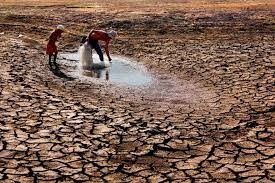 Maharashtra Stares at Severe Drought Threat amid Blistering Heat: Shiv Sena(UBT) in 'Saamana'