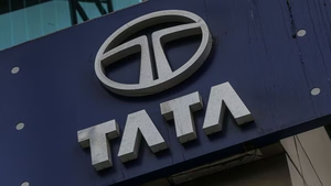 Tata Chemicals Shares Plunge More than 8 per Cent