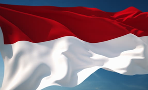 Indonesia to Establish Nuclear Organisation This Year