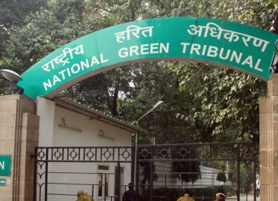 NGT Issues Notice on Indiscriminate Concretisation of Roadsides & Constructions in Parks