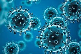 India reports 13,091 new Covid-19 cases, 340 deaths