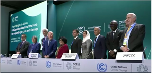 $19 MN Loss & Damage Funding Pledged by Sweden at COP29, Bringing Total to $720 MN