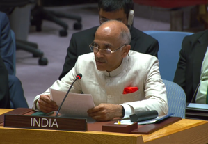 India Expresses Solidarity with Saudi Arabia under Attack from Houthis