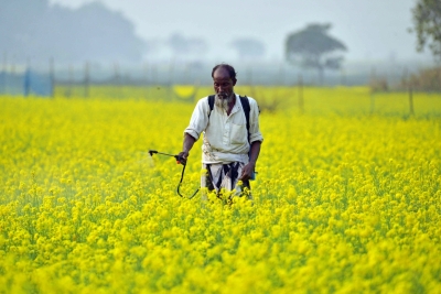 UP Govt to Set up Farmer-producer Cell to Boost Agriculture