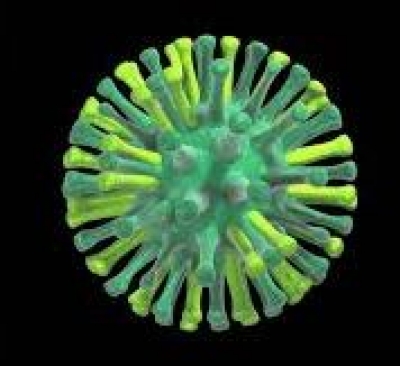 Shigella Alert in Kerala, Health Department Steps up Vigil