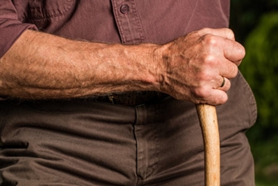 Govt to expand pension coverage via 'Pension Sakhis' in rural India