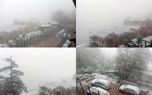 Shimla Sees Mild Snow, Bringing Cheer with Promise of White Christmas