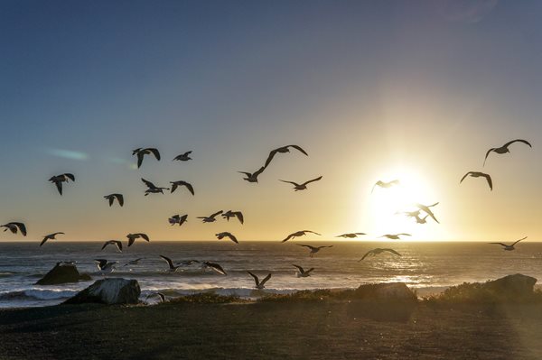 Sunset in California