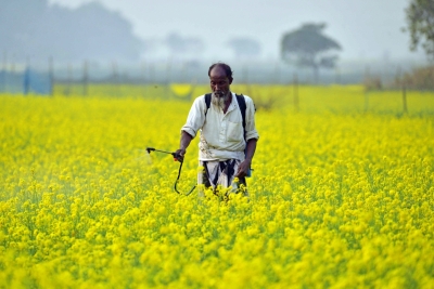 TN agri technocrats seek efficient use of water resources, recommend timely paddy cultivation