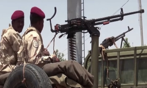11 Killed in Paramilitary Rampage on Village in Sudan: NGO