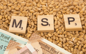 Hike in MSP Assures Farmers of RS 84,263 Crore for Sale of Rabi Crops in 2026-27