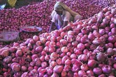 After 13 Days Strike, Onion Auctions Resume in Nashik Wholesale Markets