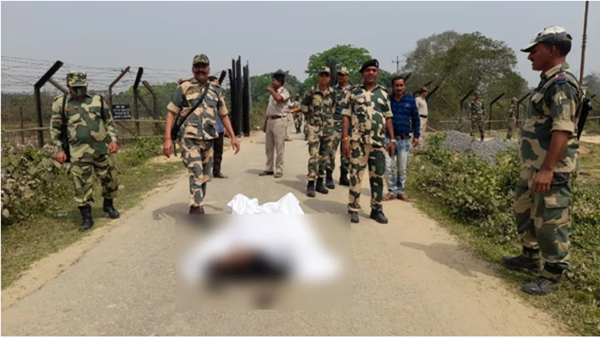 Cattle smuggler killed in BSF firing at Bengal's border with Bangladesh
