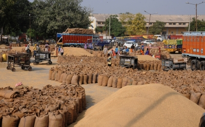 Yogi Govt Purchases 28.17 Lakh Tonnes Paddy