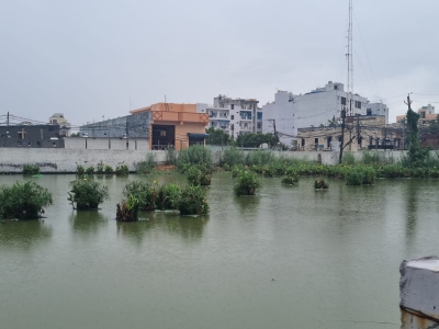 Flood Situation Deteriorates in Assam; Death Toll Rises to 46, over 16L Affected