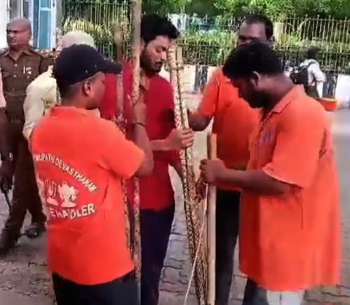Distribution of Sticks Begins among Tirumala Devotees for Self-defence