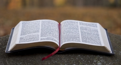 Primary Schools in US State Ban Bible for 'vulgarity, Violence'