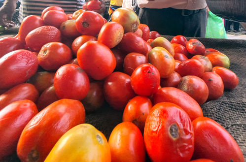 Vehicle Transporting Tomatoes to Market Robbed in B'luru