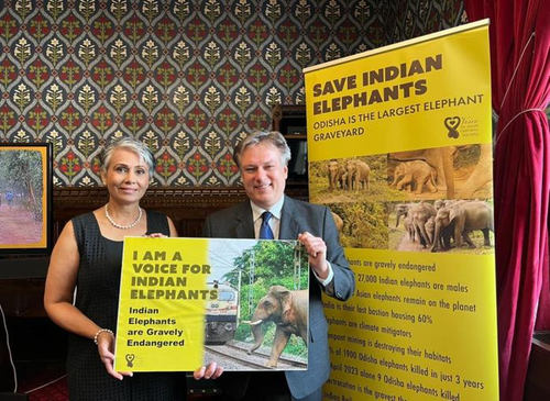 Indo-Canadian Biologist Takes up Cudgels for Indian Elephants in UK Parliament