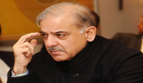 Shehbaz Sharif to be party's nominee for Pak PM's post: Maryam Nawaz