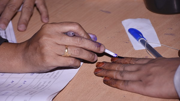 50% voter turnout in MCD polls