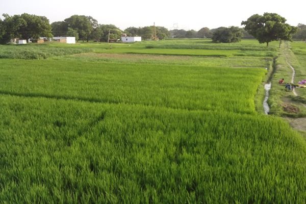 Govt May Announce Farm Loan Waiver Scheme in Budget