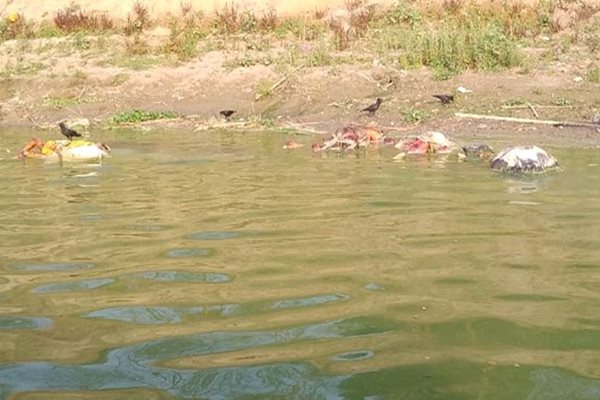 Now, Two Dozen Bodies Found on Ganga Banks in UP's Ghazipur