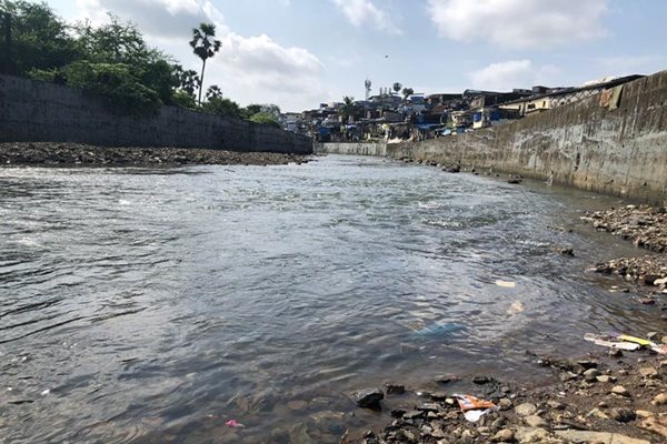Not a Single Rupee from Centre for Mithi River Clean-up: RTI