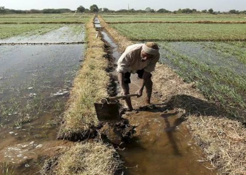 Rain Spells Relief in TN'S Thanjavur as Farmers Feared Withering Crops
