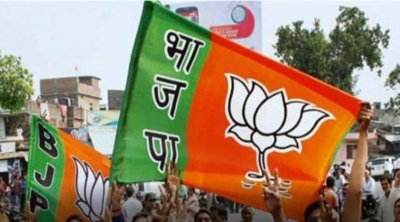 MP Polls: Rebels Not the Main Problem for BJP, but Anger of Party's Ground Workers