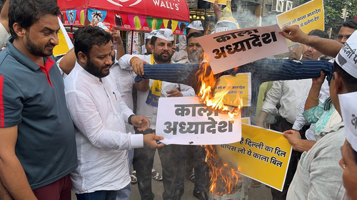 AAP Takes to Streets, Burn Effigies of Centre's Ordinance