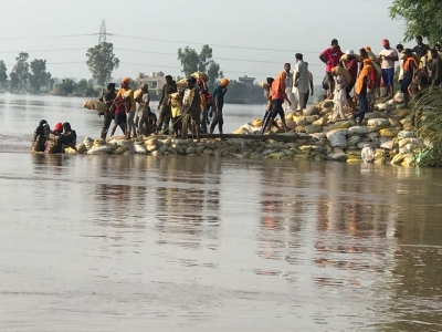 Breaches in Ghaggar Inundate Fields in Punjab's Sangrur