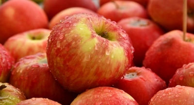 Retaliatory Duty Removal on US Apples Imports Not to Affect Domestic Growers, Says Government