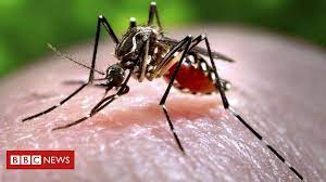 175 IAF officials tested for Zika virus in UP, report awaited