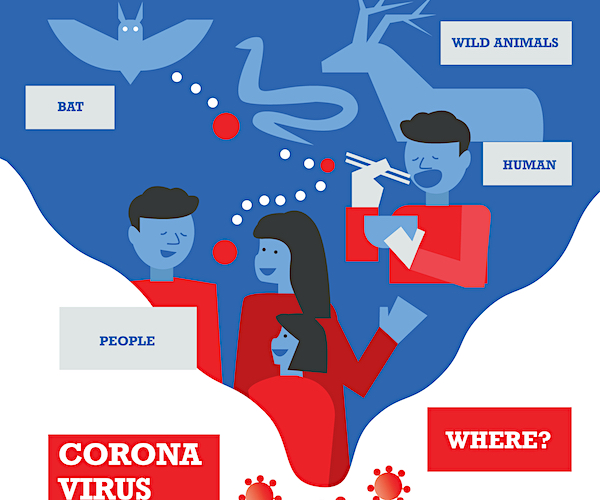 Coronavirus infographics. Virus Infection informations. flat design elements vector illustration