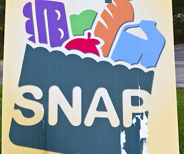 a graphic showing snap on a bag of groceries